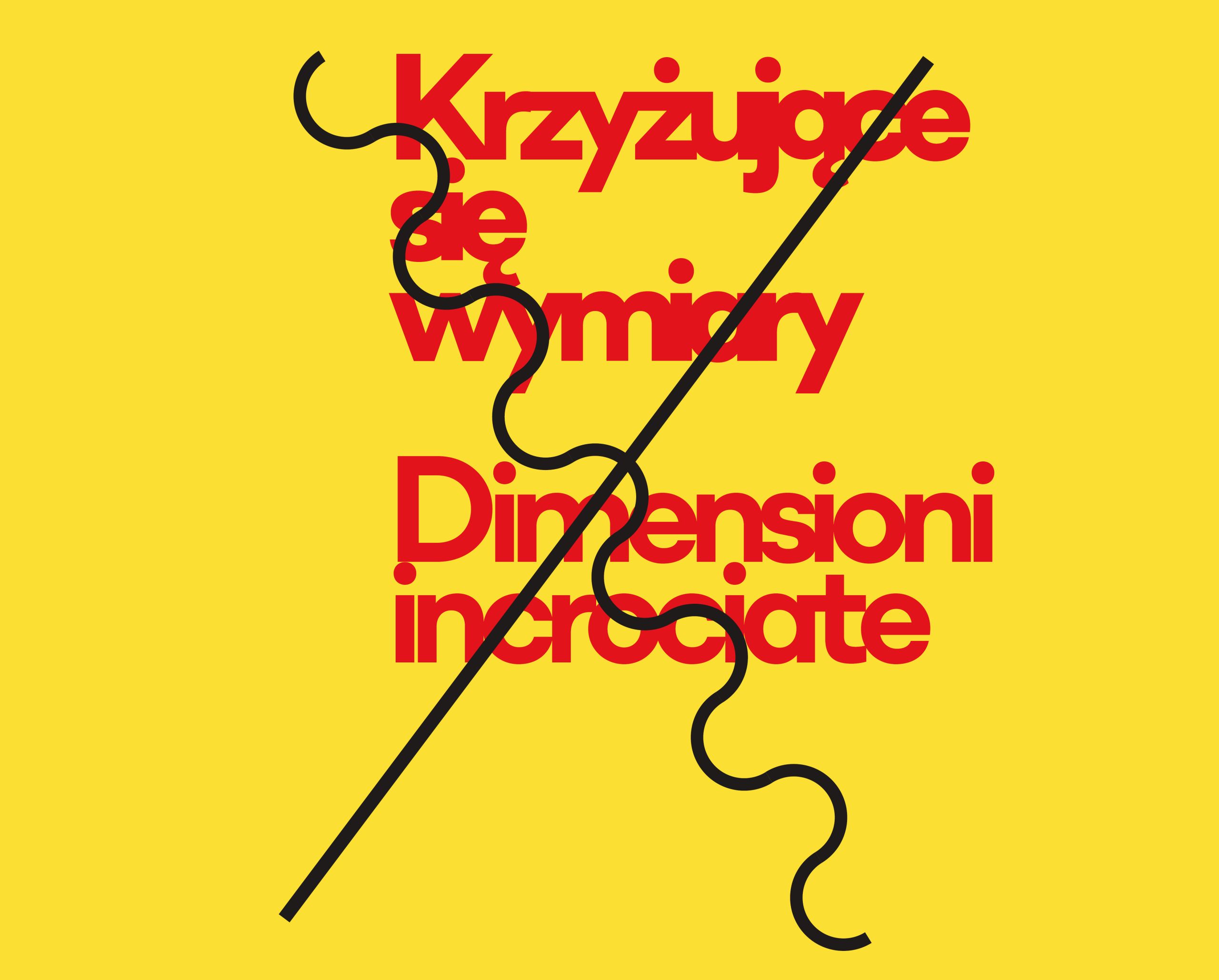 Wystawa Krzyżujące się wymiary / Crossed Dimensions
